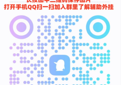 分析实测“牵手跑胡子有外挂吗”(先付款后使用)-哔哩哔哩